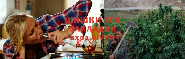 молекула духа Дмитров