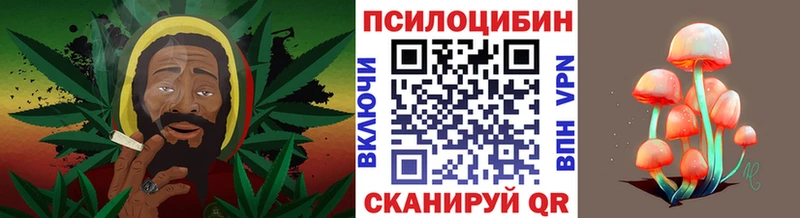 Галлюциногенные грибы прущие грибы Купить где Давлеканово